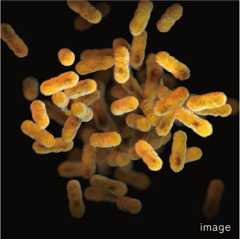 乳酸菌生成エキスとは?