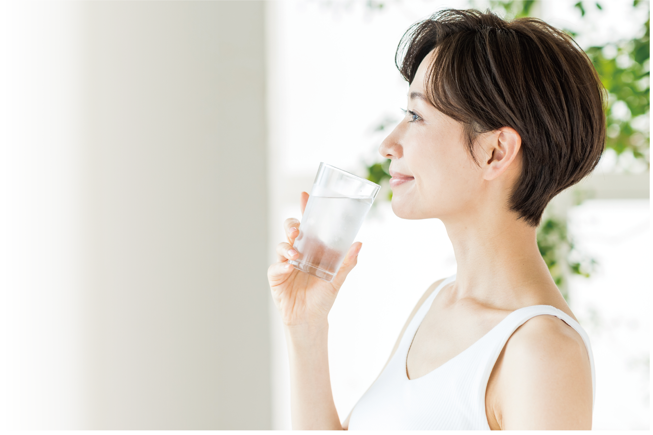 わたしに寄り添う 乳酸菌生成エキス