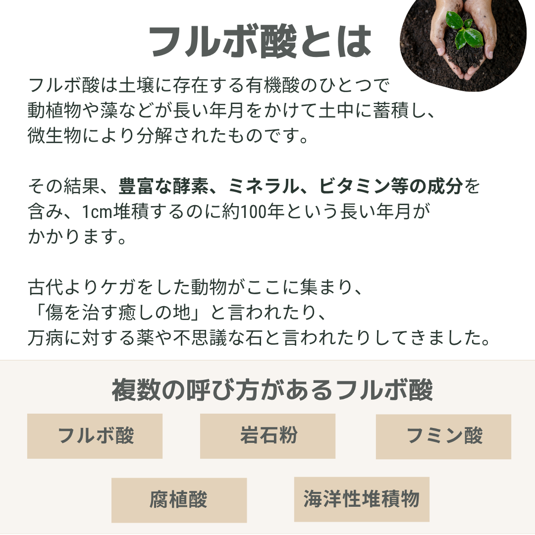 テラフルボ　