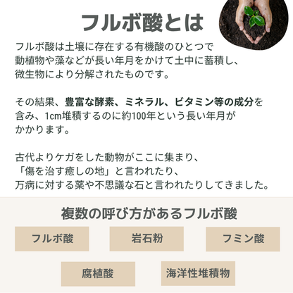 テラフルボ　