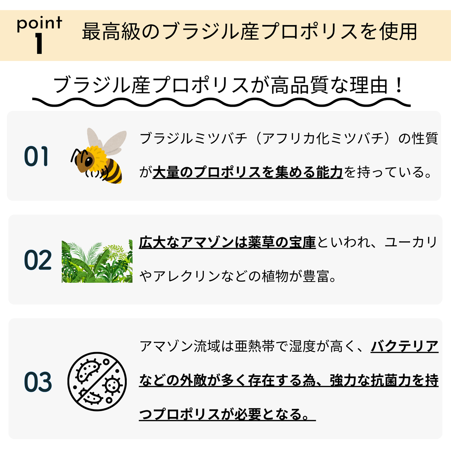 プロポリス エナジーブースター
