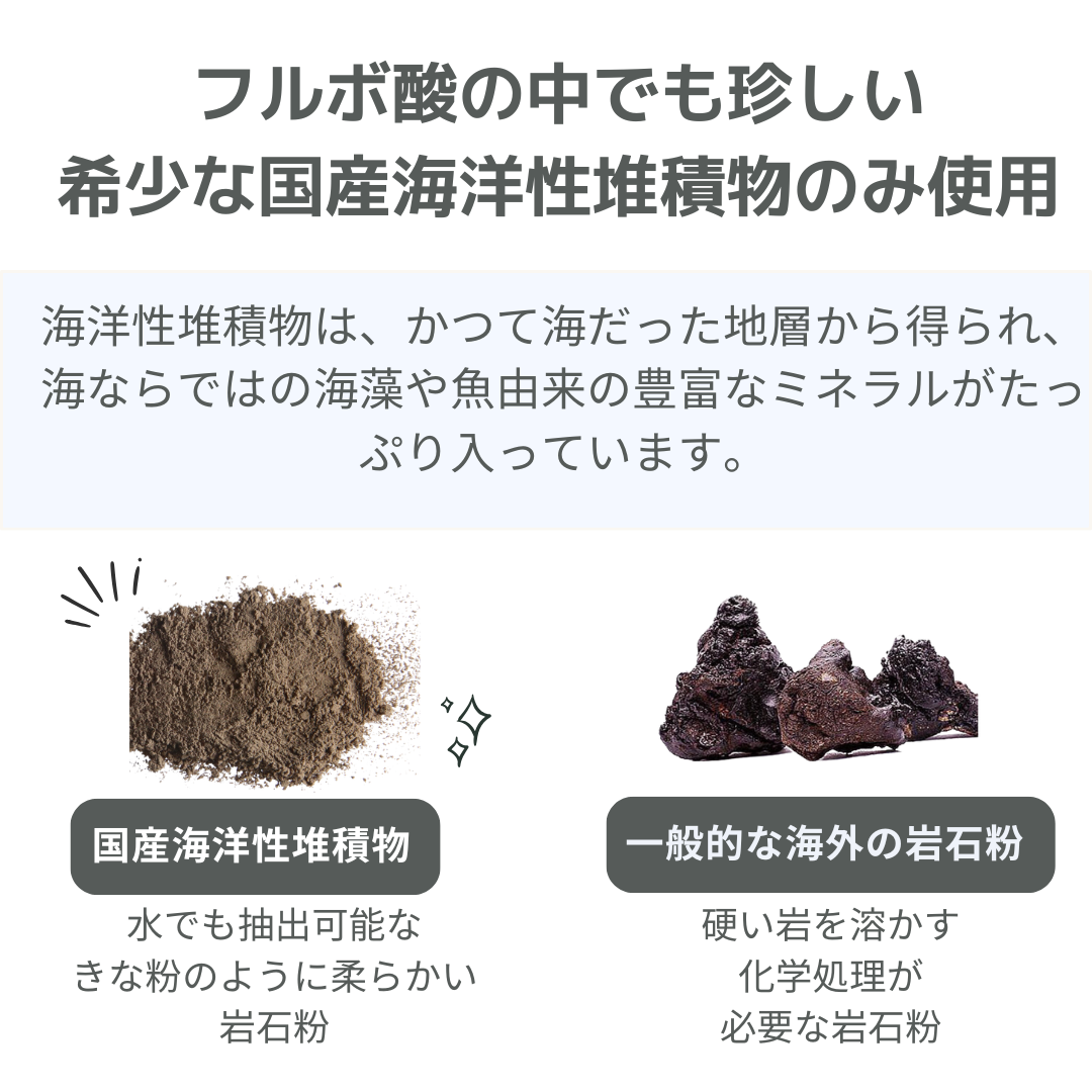 テラフルボ　