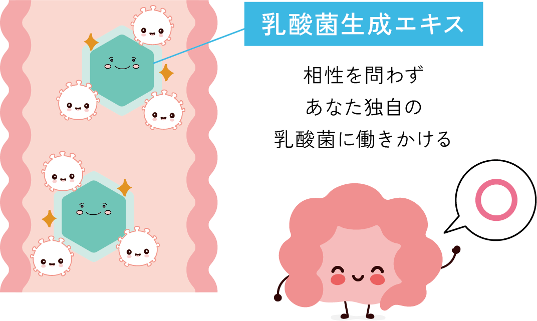 「わたしの乳酸菌」にアプローチ