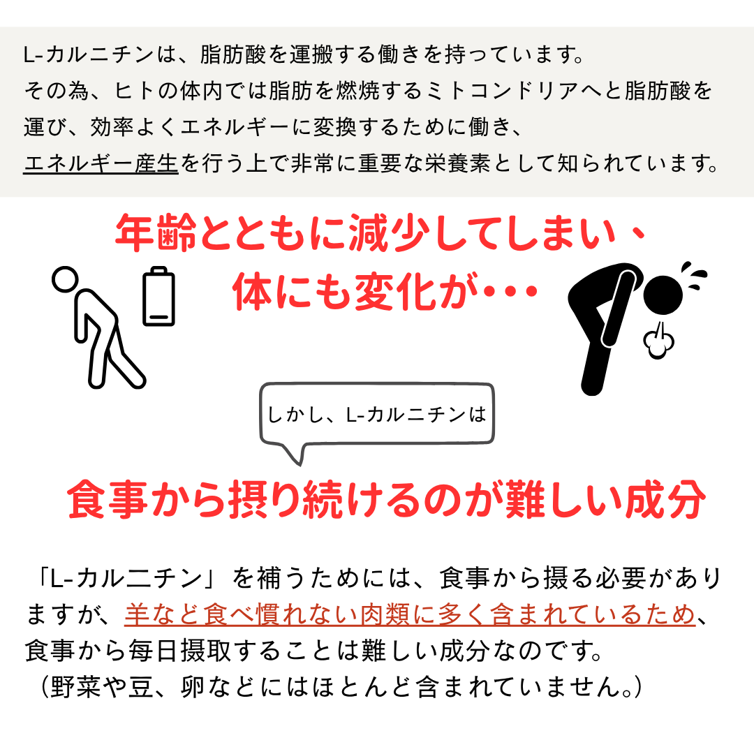 L-カルニチン