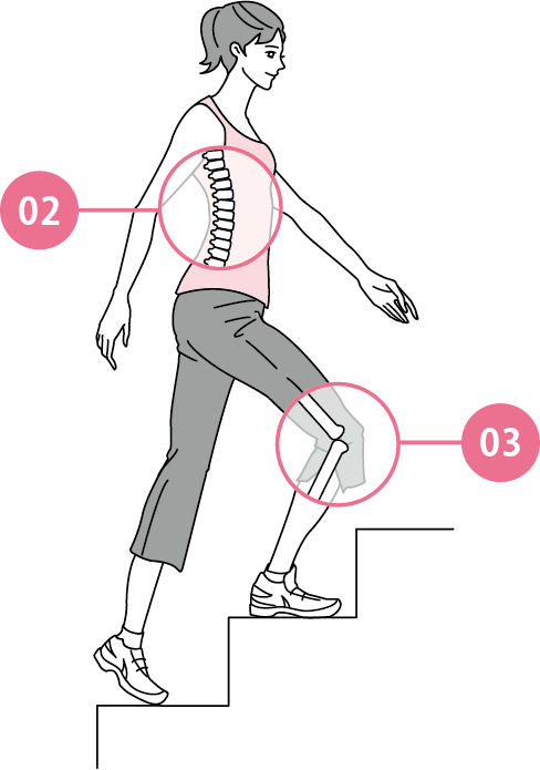 ※1 コラーゲンとゼラチンの科学（建帛社）より一部改編、乾燥重量比※2 コラーゲン完全バイブル（幻冬舎）体積比※3 田中栄:グルコサミン研究、4,92（2008）乾燥重量比、構成成分の中央値を用いて水以外の成分を100％として算出